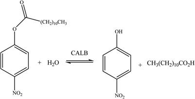 Exploring the behavior of Candida antarctica lipase B in aqueous mixtures of an imidazolium ionic liquid and its surfactant analogue